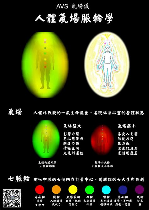 氣場儀原理|AVS气场仪简介 tw